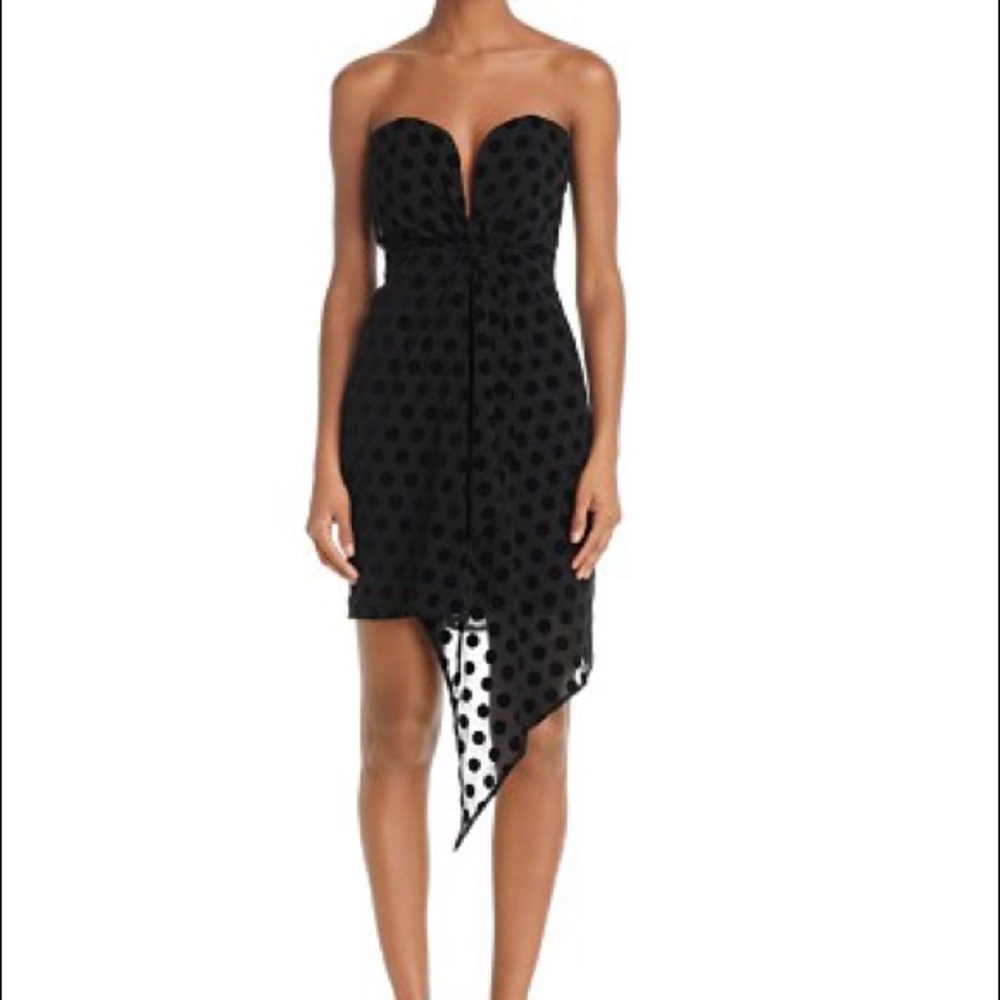 Bardot Velvet Polka Dot Dress